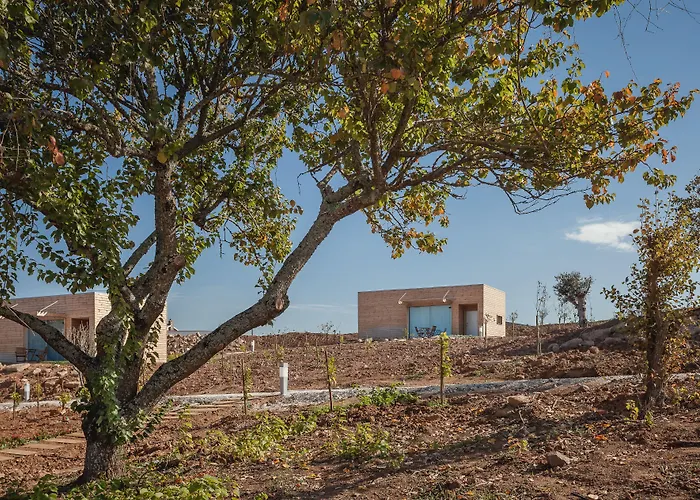 Vale D'azenha Rural & Residences Hotel